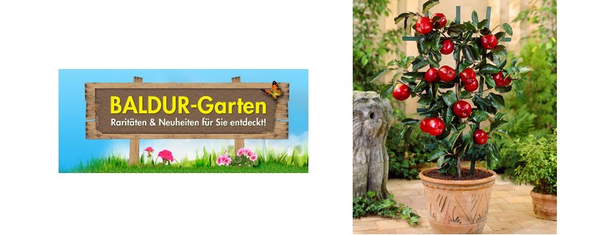 Gratis Apfel Kubel Bei Baldur Garten Abstauben