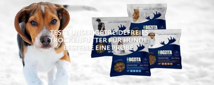 Hundefutterprobe bestellen