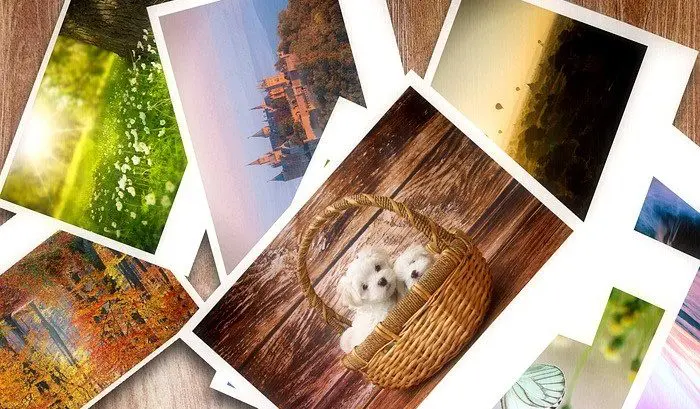 Gratis Fotoabzuge Erinnerungsfotos Kostenlos Entwickeln Lassen