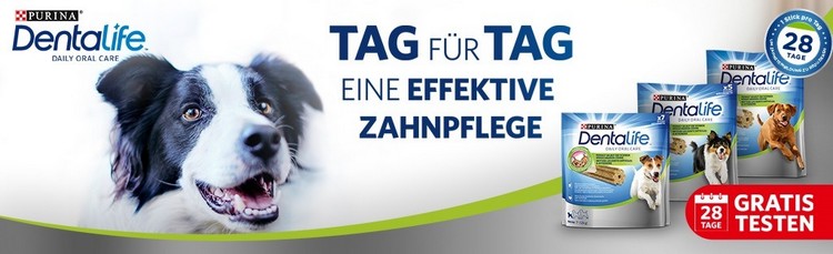 DentaLife gratis testen