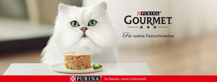 Purina Gourmet