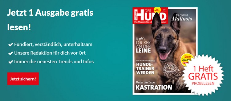 der Hund 1x gratis