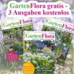 GartenFlora 3 gratis Ausgaben