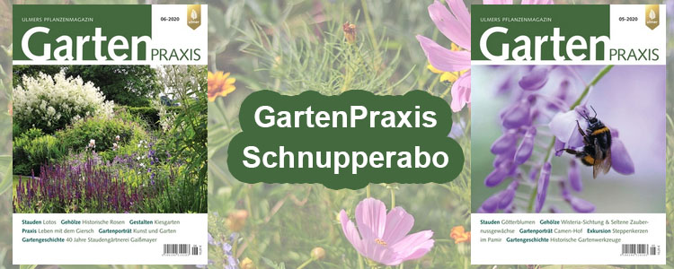 GartenPraxis 2 Ausgaben