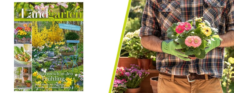 mein schöner Landgarten