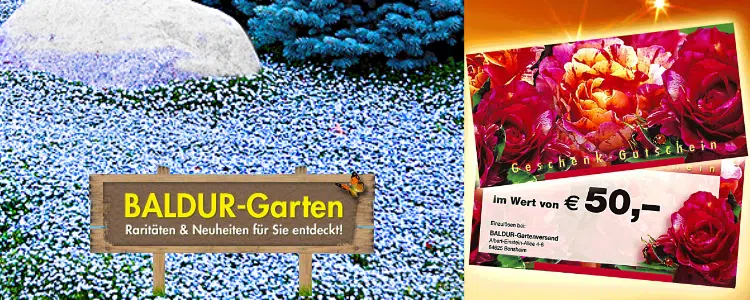 Baldur-Garten-Gewinnspiel