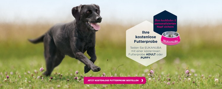 Eukanuba futterprobe