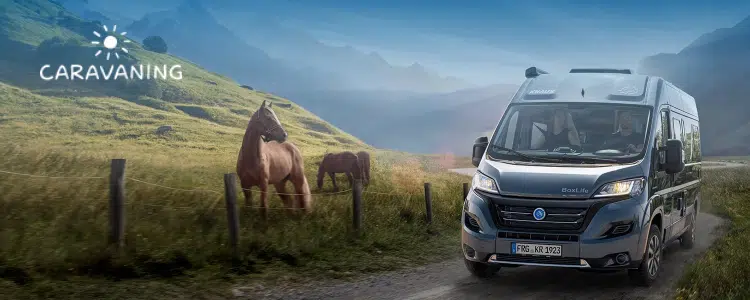 Caravaning Gewinnspiel; Kastenwagen, Pferde auf Koppel