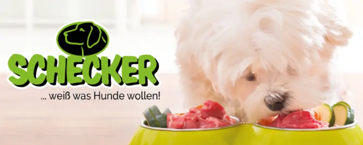 Doggy Dinner von Schecker