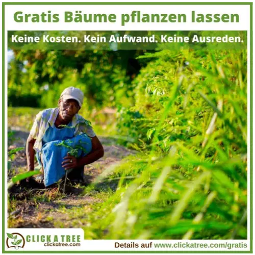 B N Tree Aktion Gratis Baum Pflanzen Bekannt Aus Die Hohle Der Lowen