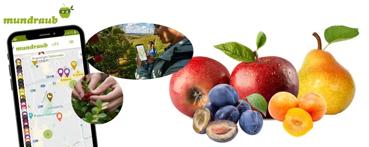 mundraub.org auf einem Handy; Obst auf rechter Bildseite