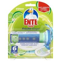 WC Ente Frische-Siegel