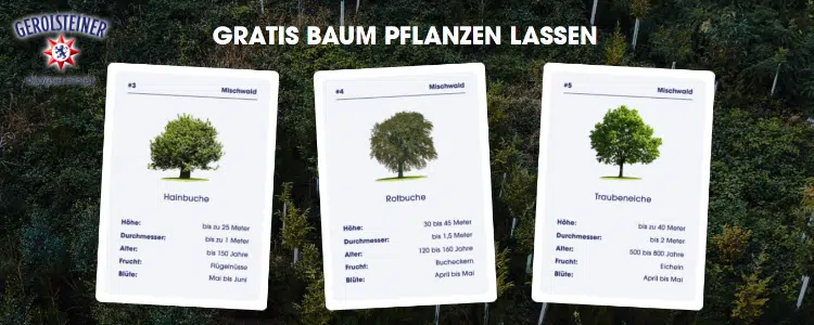 Gerolsteiner Baumpflanzaktion