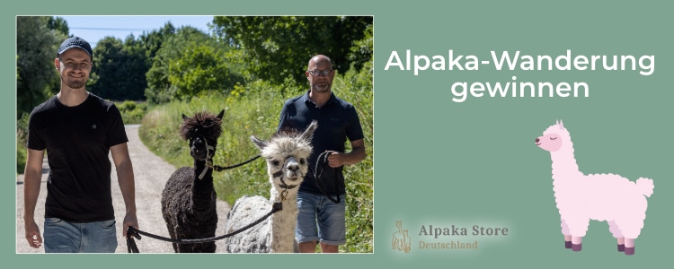 Alpka-Wanderung gewinnen