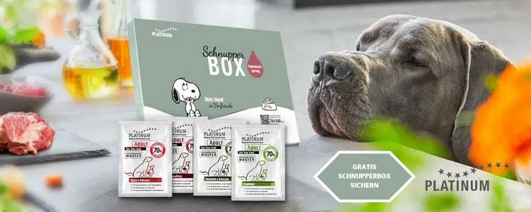 Gratis Schnupperbox bei PLATINUM sichern