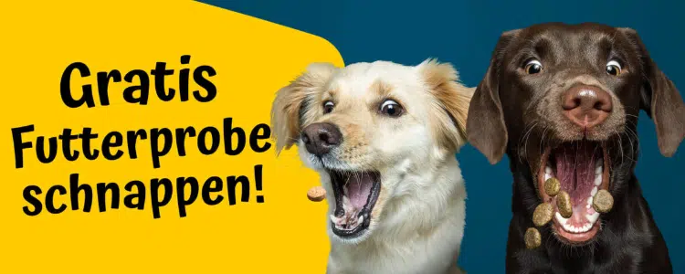 Josera_Hundefutterprobe