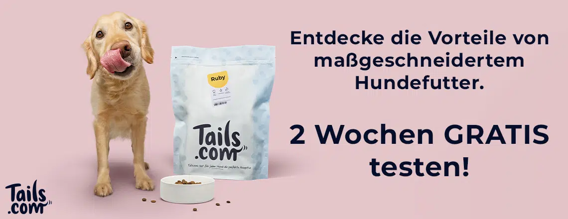 Hundefutter von Tails.com