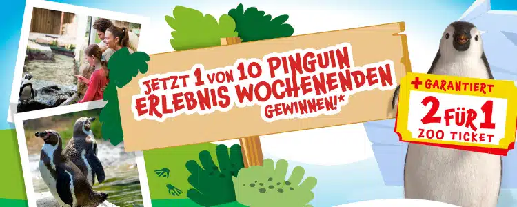 kinder Pingui Gewinnspiel