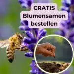 Gratis Blumensamen bestellen