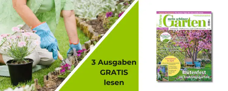 Mein schöner Garten 3x gratis lesen