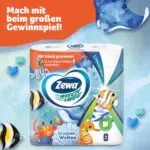 Zewa Gewinnspiel Wasserwelten 2025