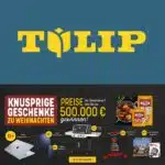 TULIP Gewinnspiel Weihnachten 2023