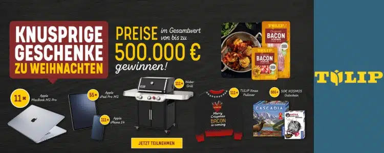 TULIP Gewinnspiel Weihnachten 2023