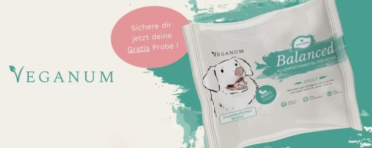 Veganum Hundefutterprobe