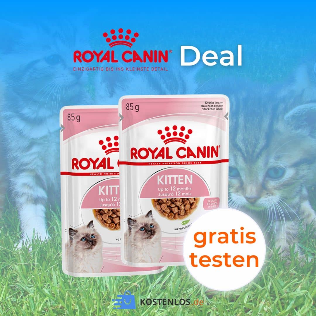 Gratis Kitten-Futter von Royal Canin anfordern