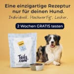 tails.com 600x600
