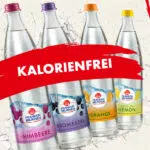 Franken_Brunnen_Medium