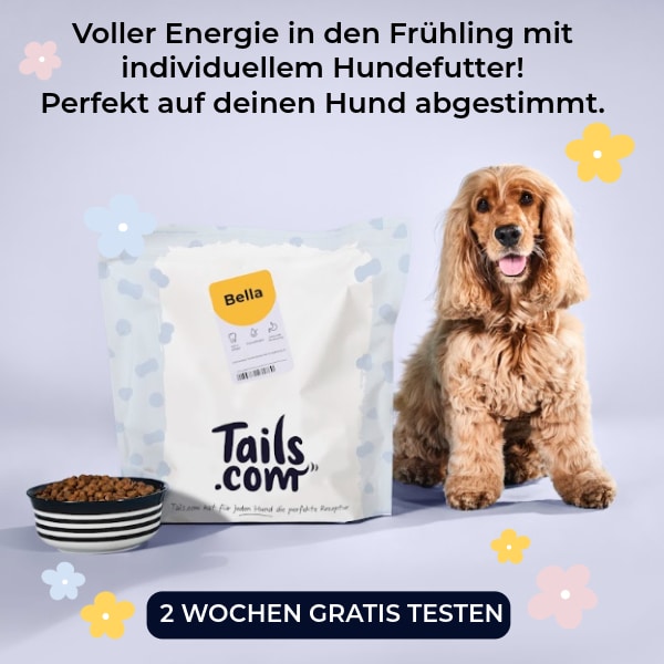tails.com Hundefutter 2 Wochen gratis testen