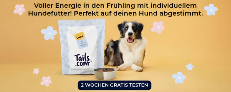 tails.com gratis Hundefutter 