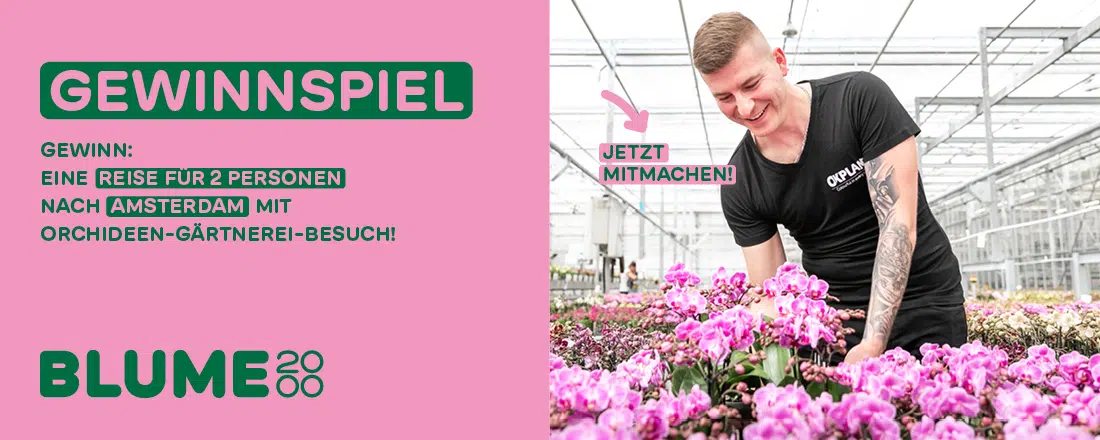 Blume2000 Gewinnspiel; Gärtner kümmert sich um Blumen