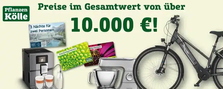 Pflanzen Kölle Gewinnspiel