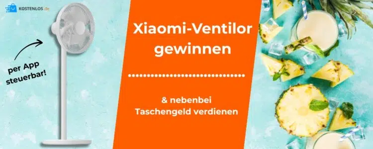 Ventilator von Xiaomi gewinnen