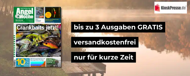 Magazin "AngelWoche"; Logo von Kioskpresse; bis zu 3 Ausgaben gratis