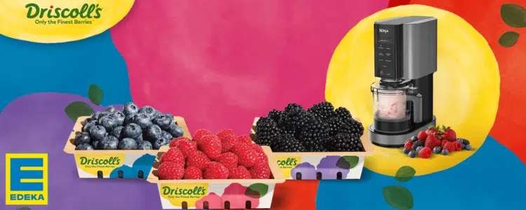 EDEKA-Gewinnspiel; CREAMi Eischmaschine; Himbeeren, Erdbeeren & Blaubeeren