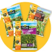 Florette mit Banderole