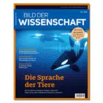 Bild_der_Wissenschaft