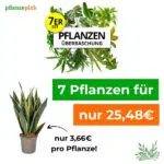 7 Überraschungspflanzen für 25,48€