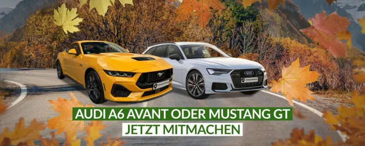 GewinnArena Auto gewinnen