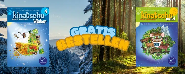 Kinatschu-Magazine Winter und Wald gratis bestellen