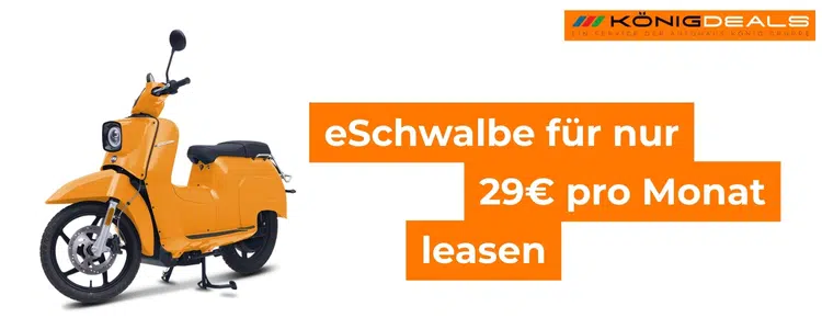 eSchwalbe für 29€ pro Monat