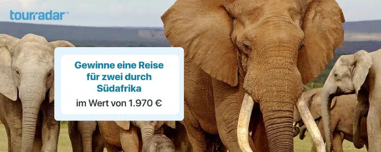 TourRadar-Gewinnspiel; Chance auf Südafrika-Reise; Elefanten