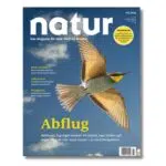 Zeitschrift "natur"