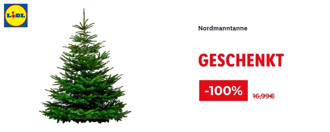 Gratis Nordmanntanne; Lidl