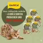 GimCat Geld-zurück-Aktion