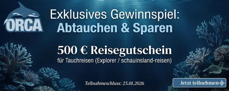 Tauchreise bei Orca gewinnen