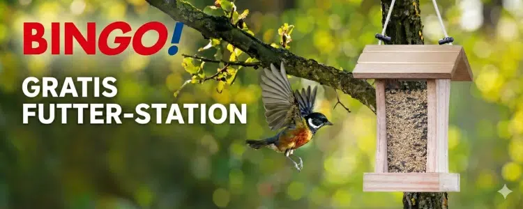 Kostenlose Futter-Station bei BINGO! anfordern